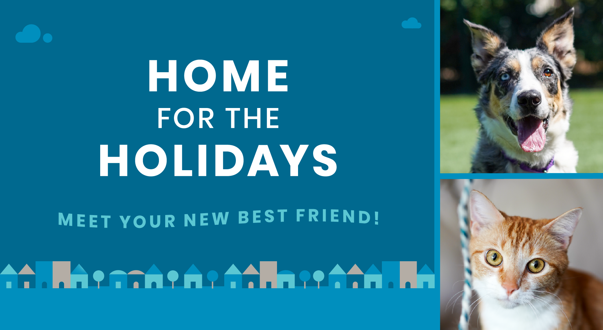 holiday adoption specials